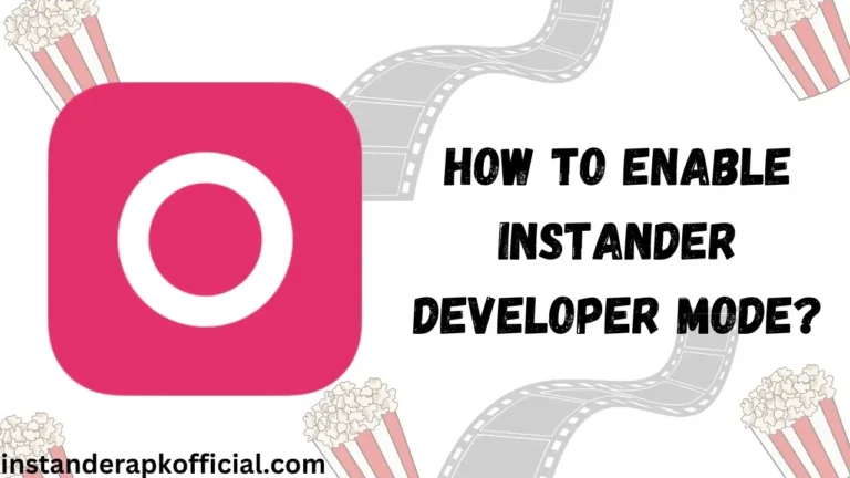 How to Enable Instander Developer Mode in 2025?